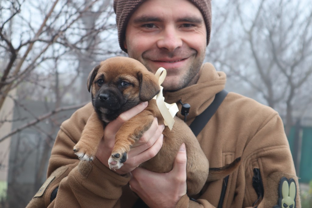 продам собаку елітної породи